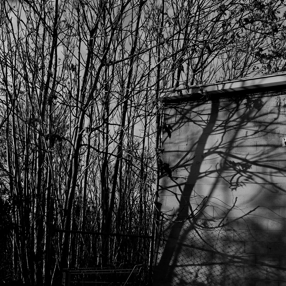 Photographs
