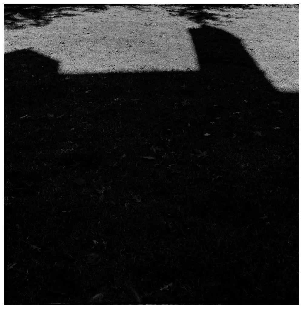 Photograph 9