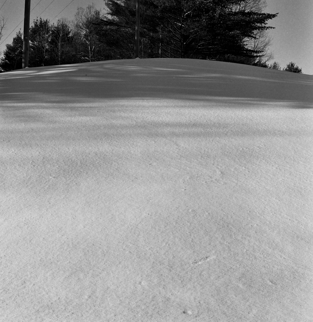 Photograph 11