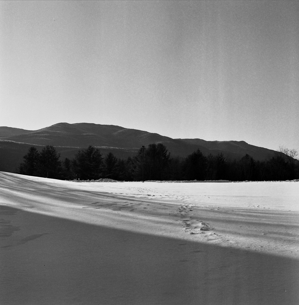 Photograph 12